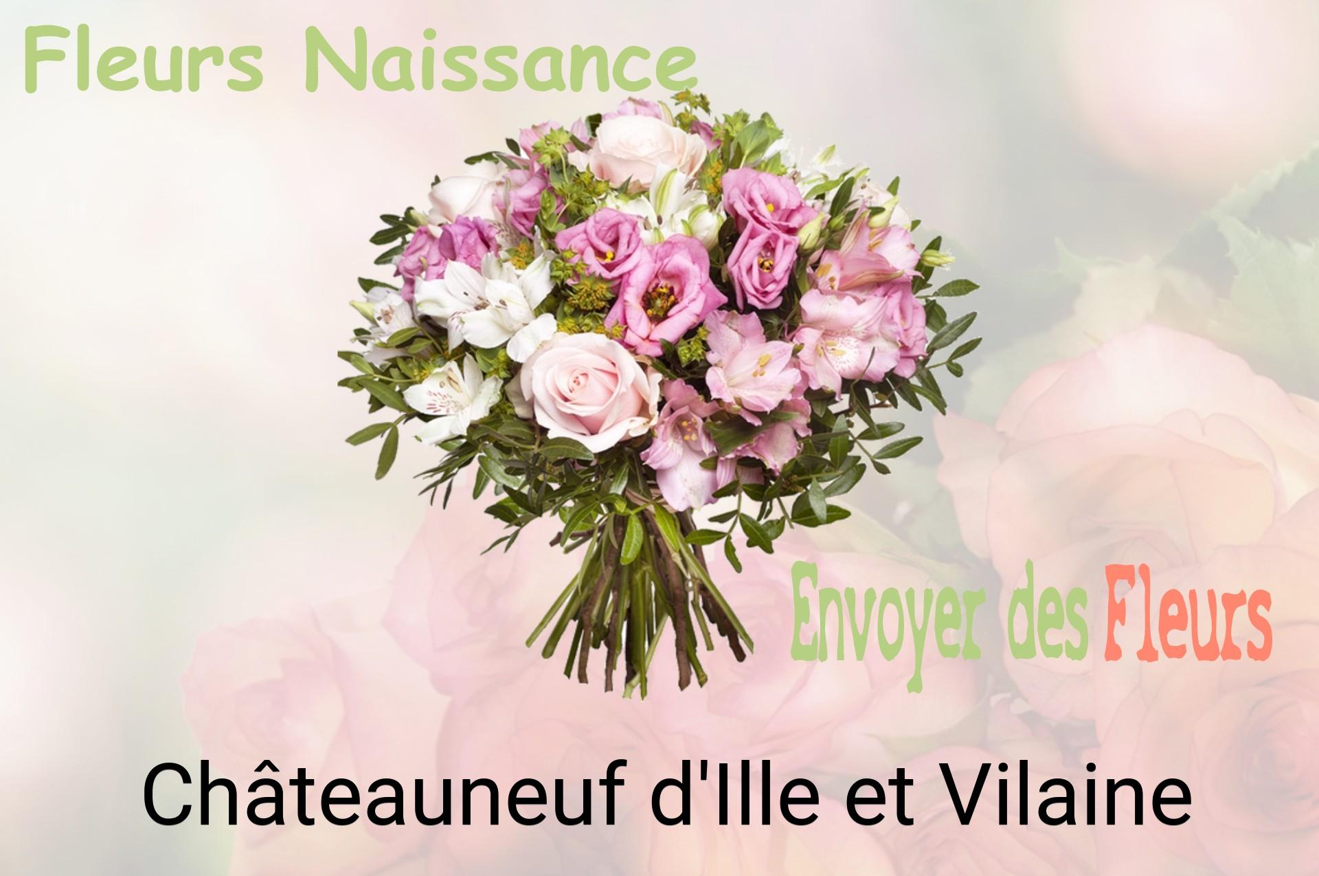 Bouquet de fleurs de naissance livré à Châteauneuf-d'Ille-et-Vilaine