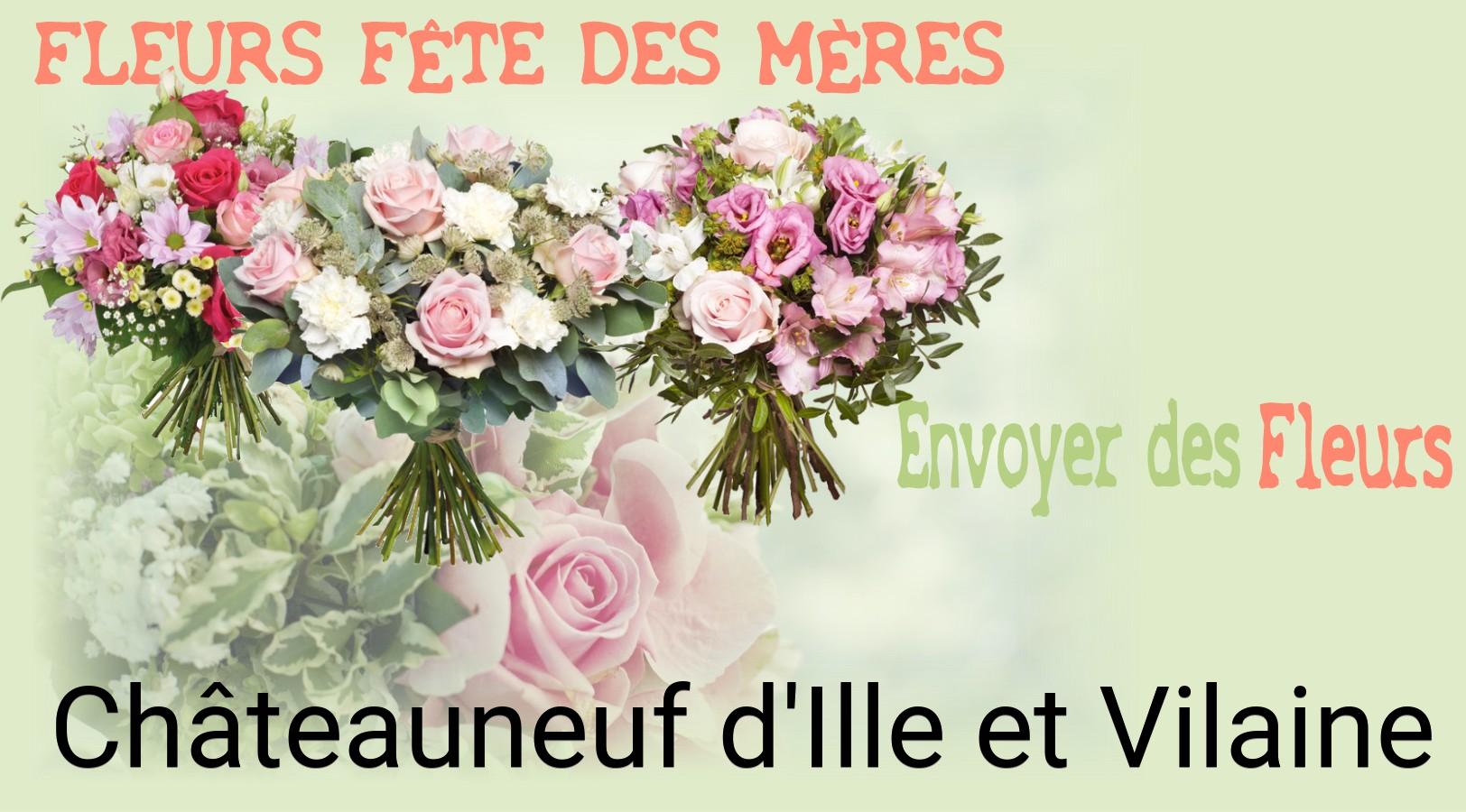 Bouquet de Fête des Mères livré à Châteauneuf-d'Ille-et-Vilaine